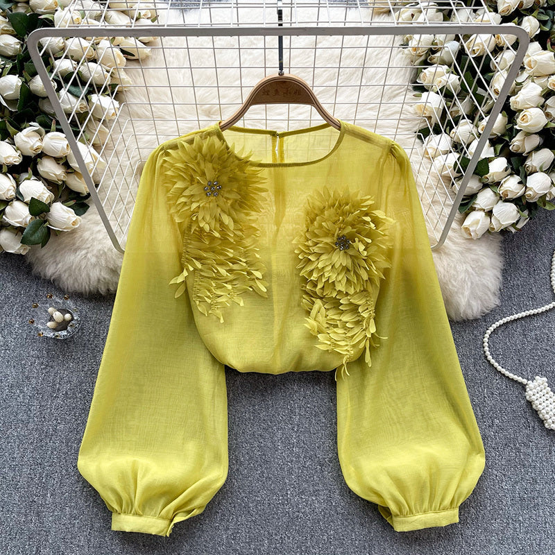 Women's Elegant Floral Applique Pullover Round Neck Long Sleeve Semi-Sheer Top Spring Summer Fashion Shirt