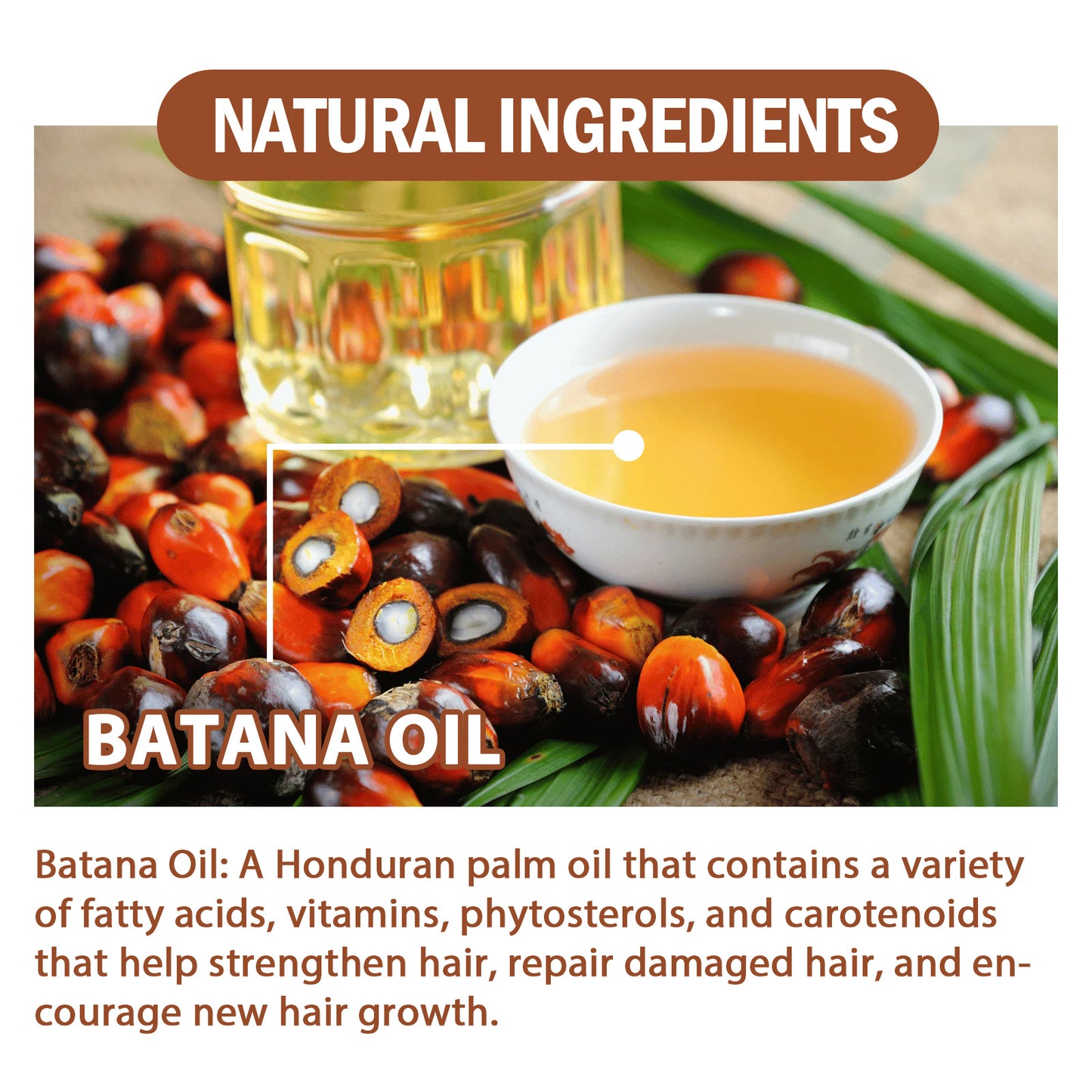 Natural Batana Oil, Batana Oil From Honduras Unrefined For Men & Women 4.05 Fluid Ounces