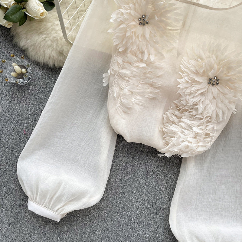 Women's Elegant Floral Applique Pullover Round Neck Long Sleeve Semi-Sheer Top Spring Summer Fashion Shirt