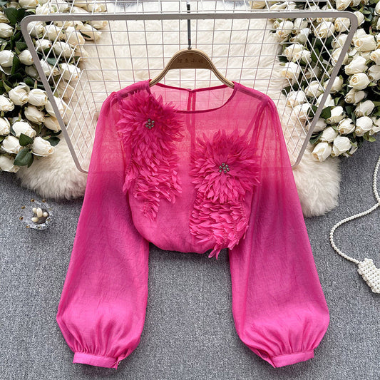Women's Elegant Floral Applique Pullover Round Neck Long Sleeve Semi-Sheer Top Spring Summer Fashion Shirt