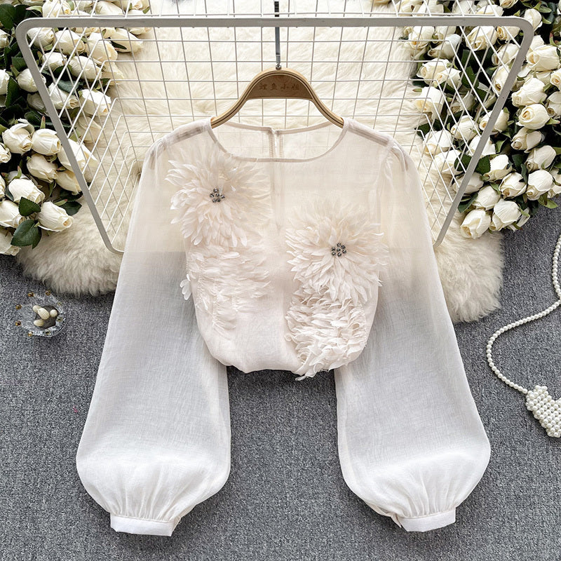 Women's Elegant Floral Applique Pullover Round Neck Long Sleeve Semi-Sheer Top Spring Summer Fashion Shirt