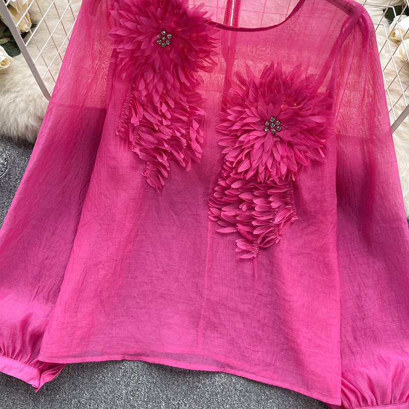 Women's Elegant Floral Applique Pullover Round Neck Long Sleeve Semi-Sheer Top Spring Summer Fashion Shirt