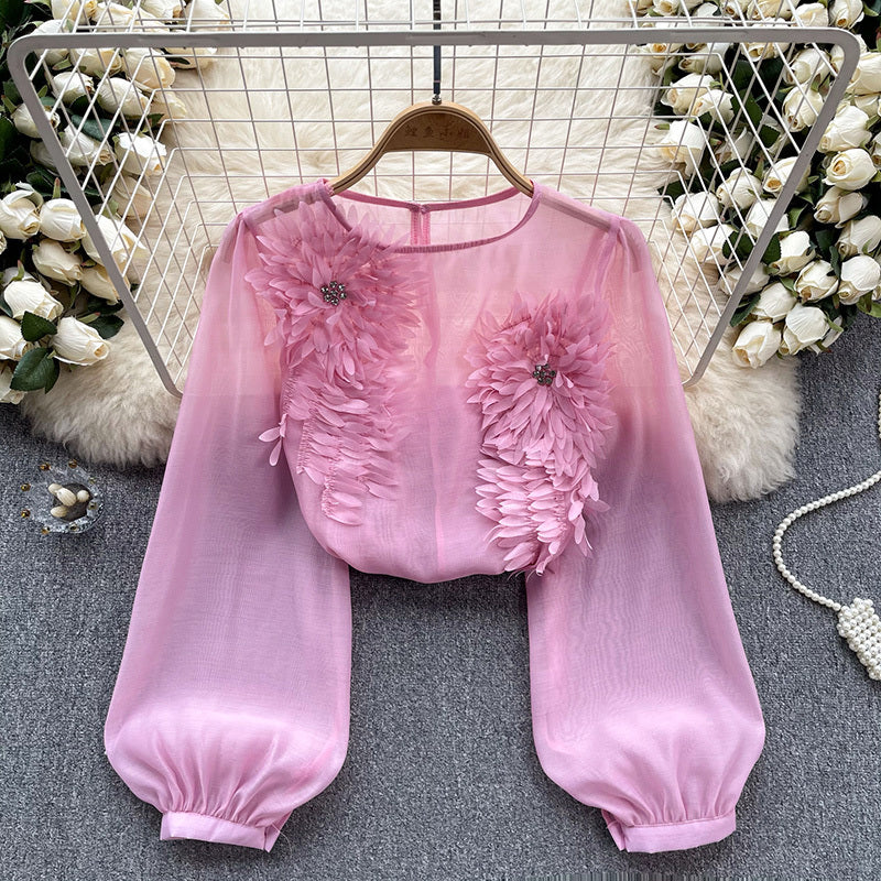 Women's Elegant Floral Applique Pullover Round Neck Long Sleeve Semi-Sheer Top Spring Summer Fashion Shirt