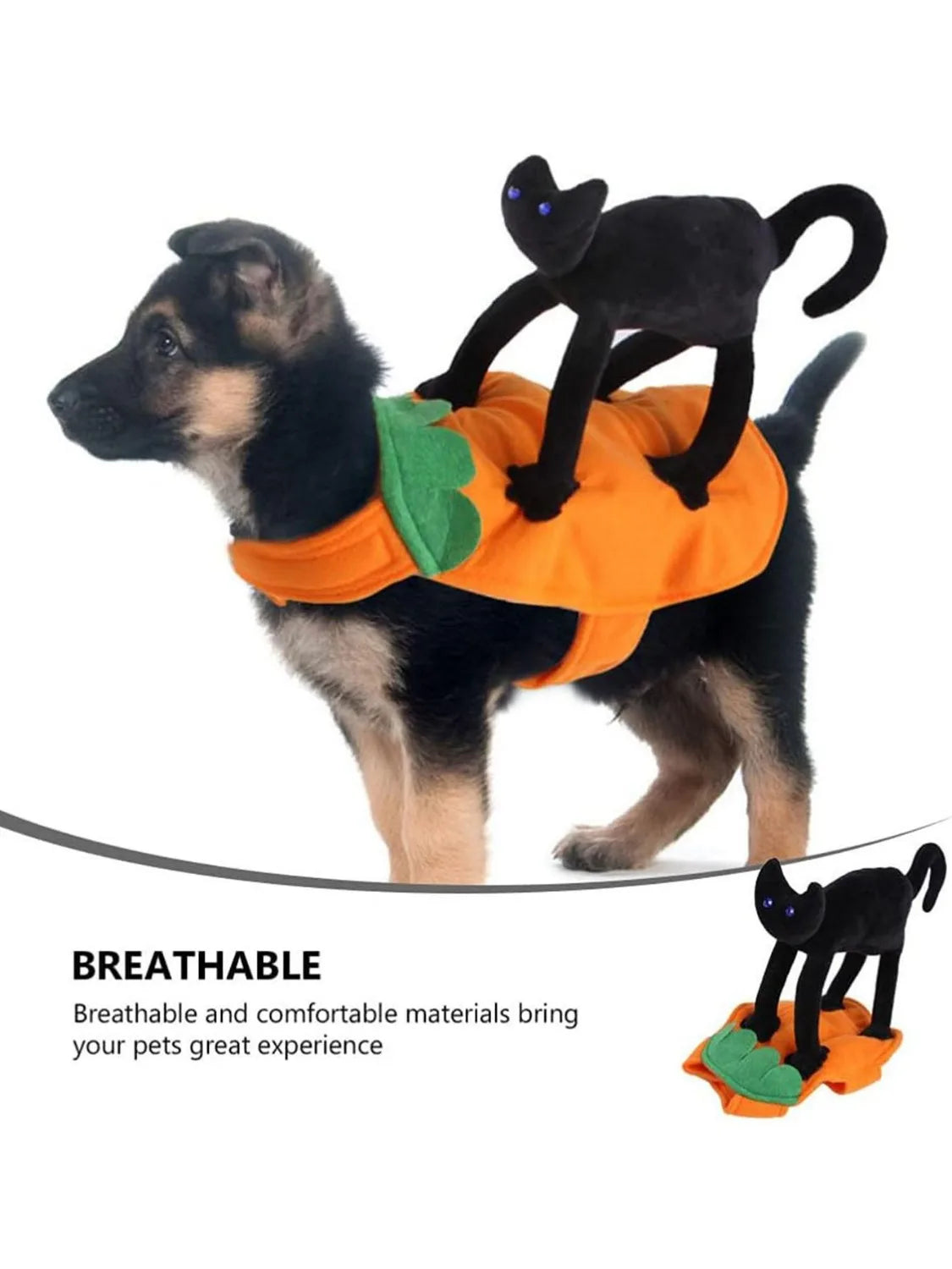 Halloween Pet Costume Pumpkin Black Cat