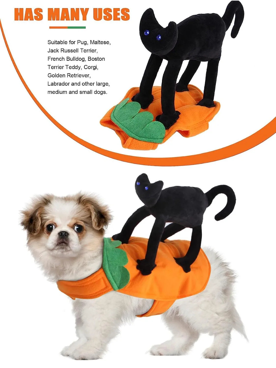 Halloween Pet Costume Pumpkin Black Cat