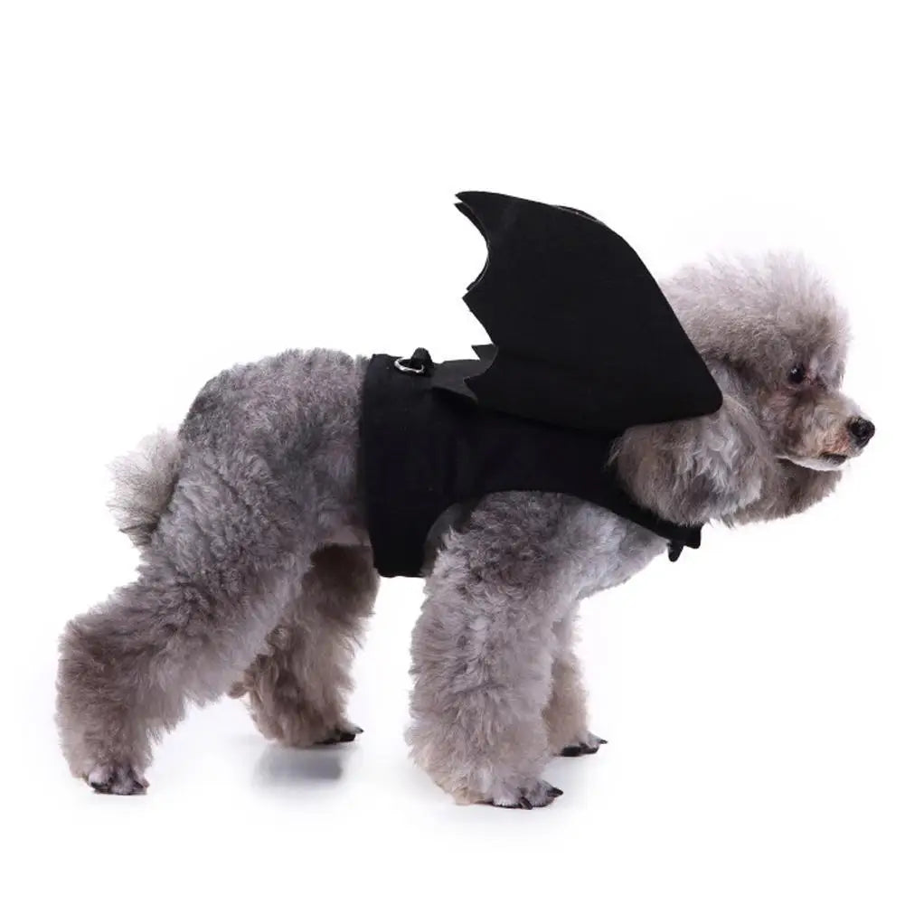 -Halloween Pet Costume - Cute Black Bat Wings Harness Costume For Cats And Dogs,