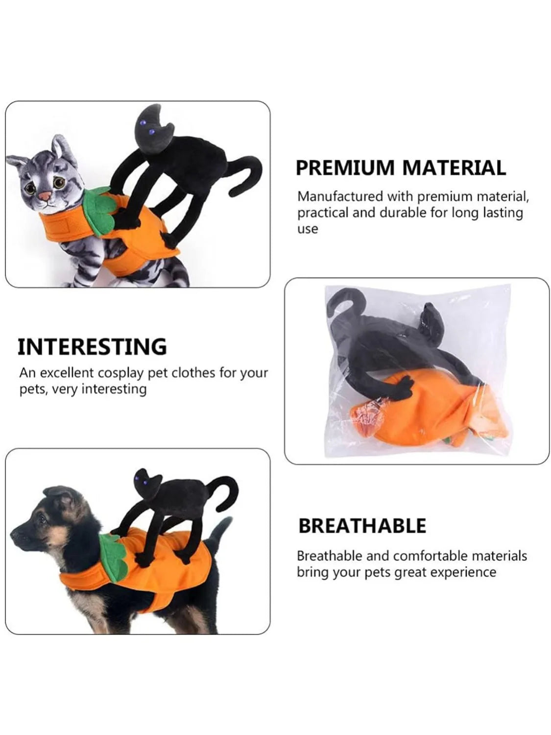 Halloween Pet Costume Pumpkin Black Cat