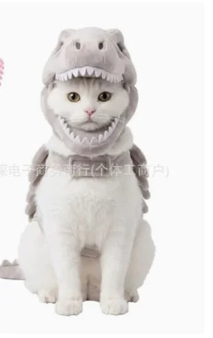 Halloween Dinosaur Skeleton Pet Hooded Costume