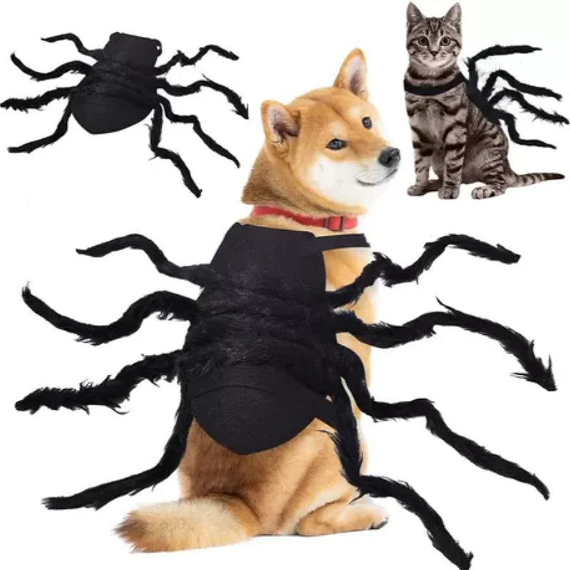 Halloween Pet Spider Costume