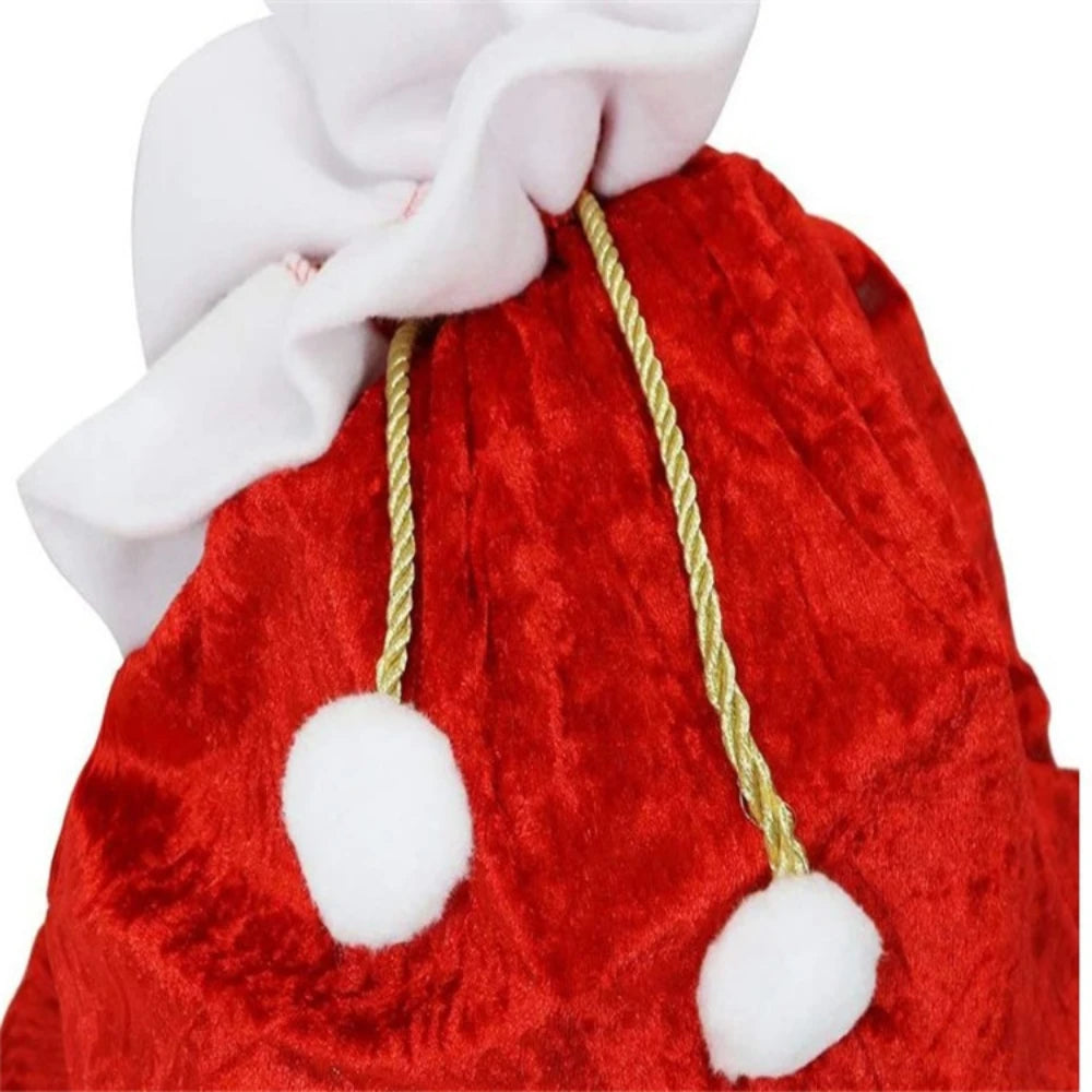 Santa Claus  Costume
