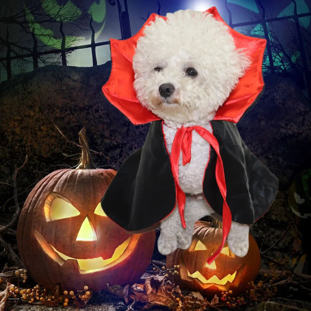 Halloween Pet Costumes Cute