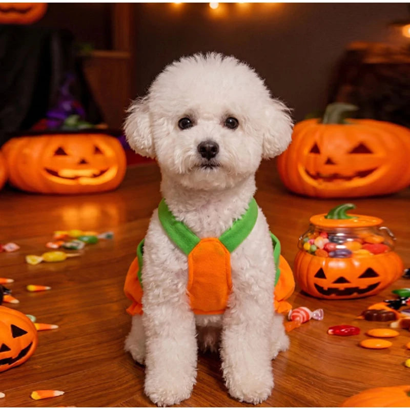 Halloween Pumpkin Pet Dress