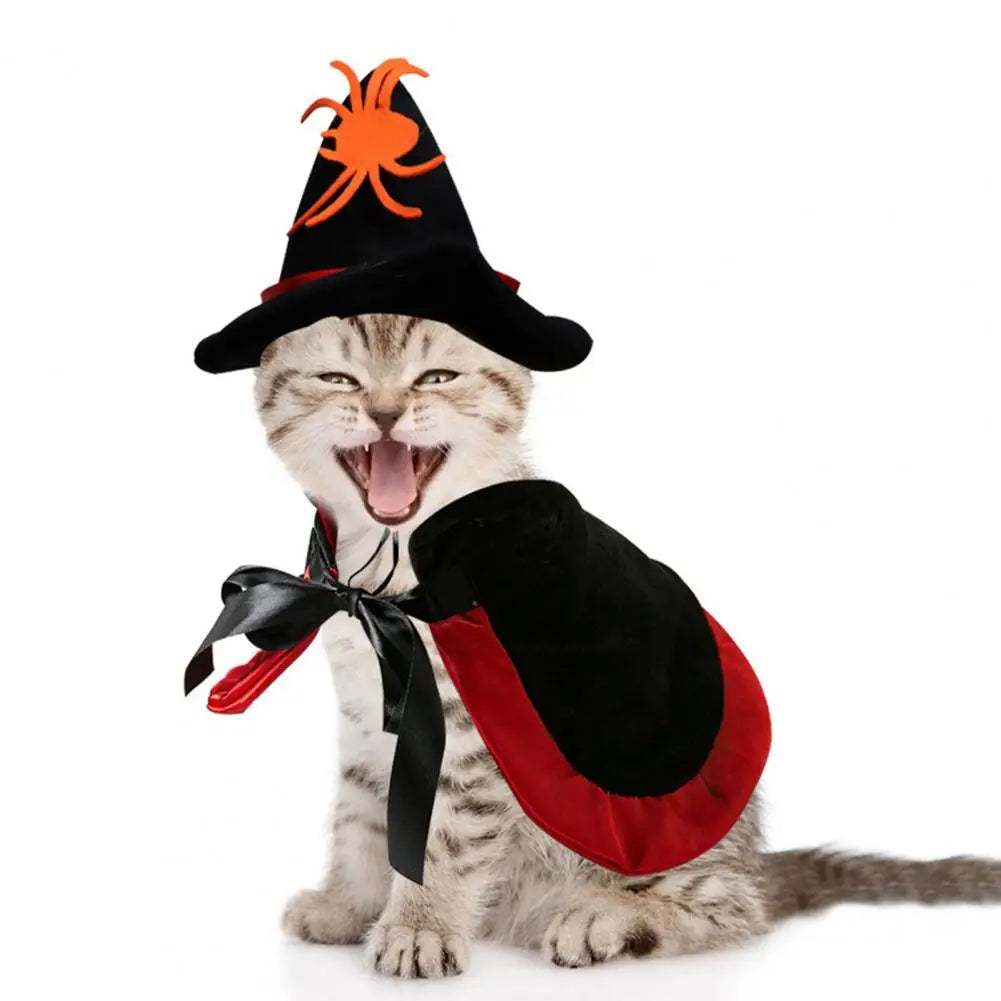 Halloween Pet Cat Witch Costume