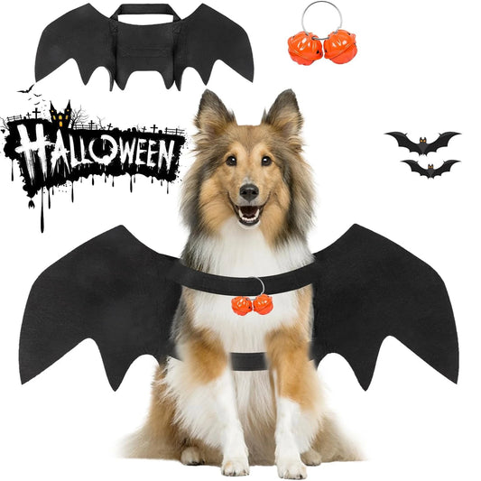 Halloween Pet Bat