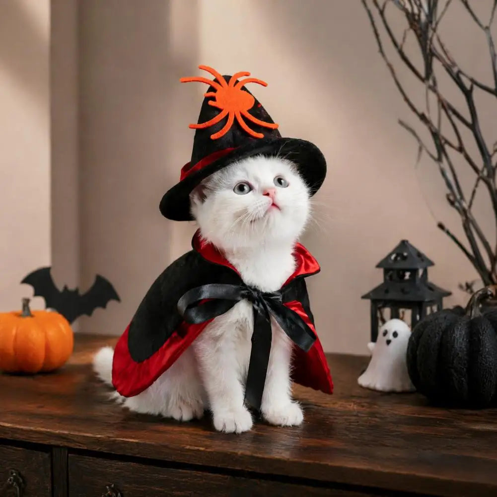 Halloween Pet Cat Witch Costume
