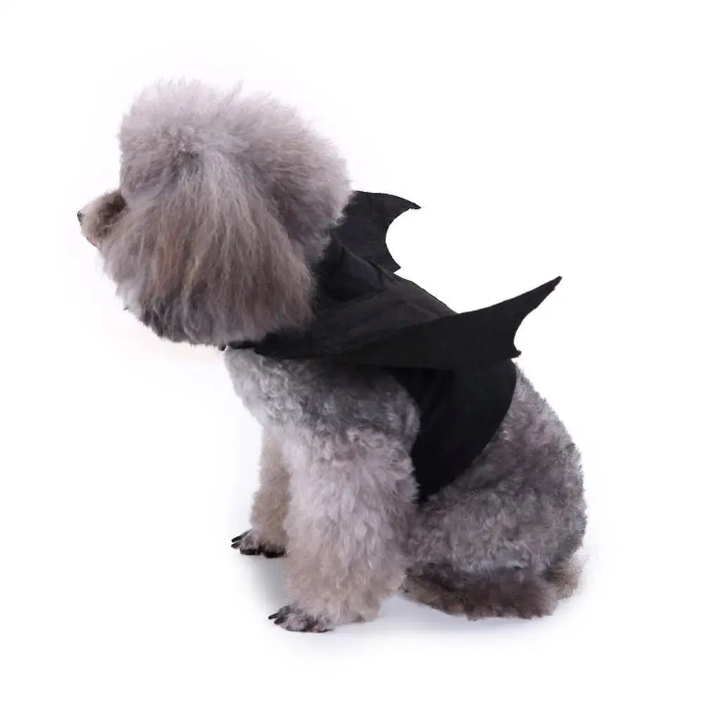 -Halloween Pet Costume - Cute Black Bat Wings Harness Costume For Cats And Dogs,