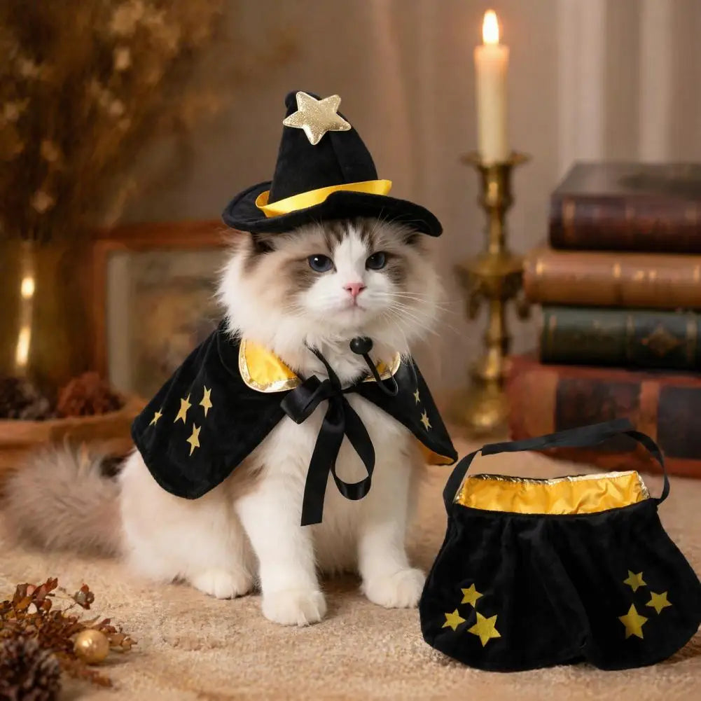 Halloween Pet Cat Witch Costume