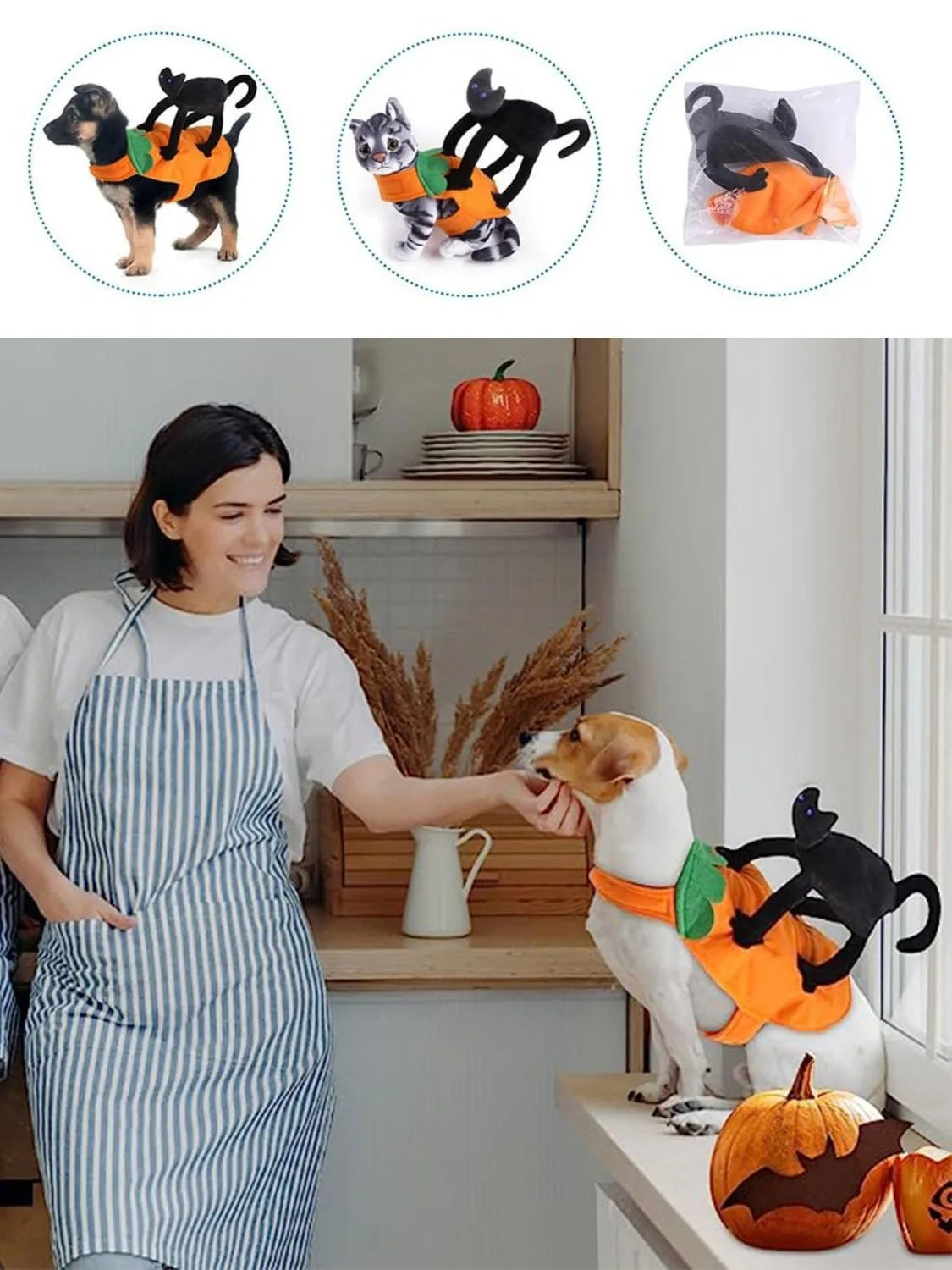 Halloween Pet Costume Pumpkin Black Cat