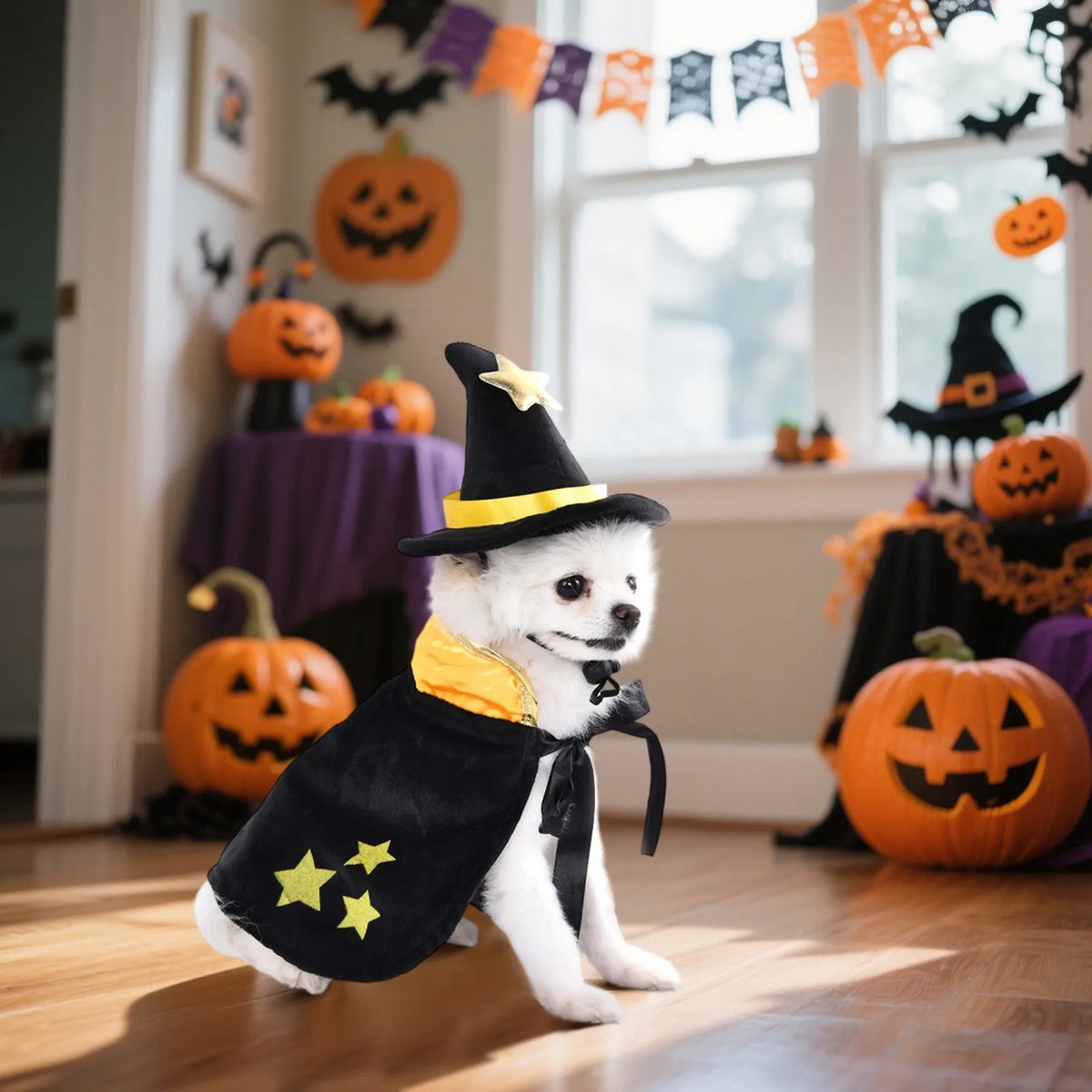 Halloween Dog  Costumes  Pet Clothes