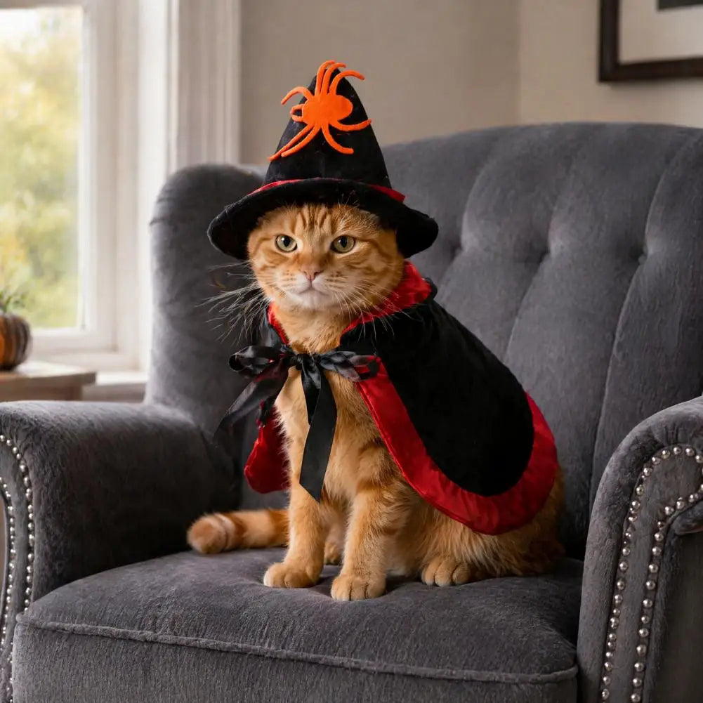 Halloween Pet Cat Witch Costume