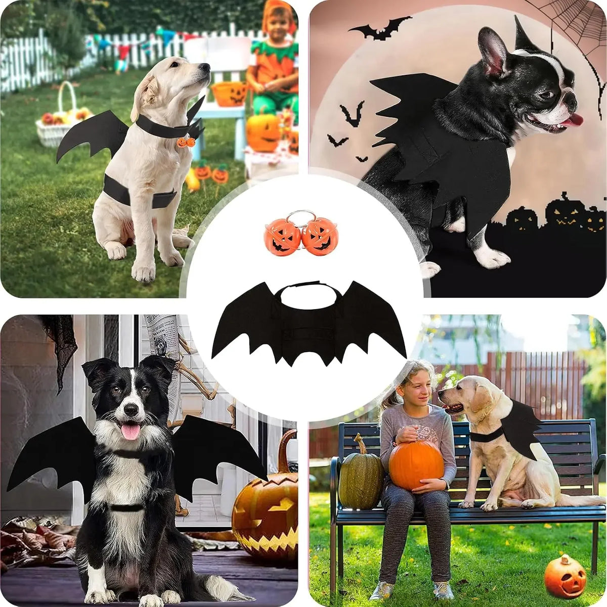 Halloween Pet Bat