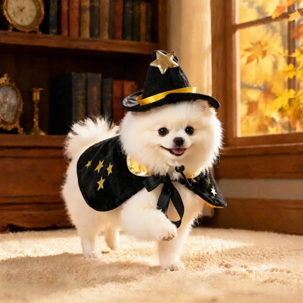 Halloween Pet Cat Witch Costume