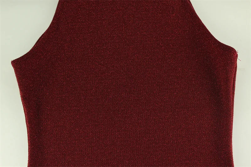 Elegant Shiny Party Bodycon Dress