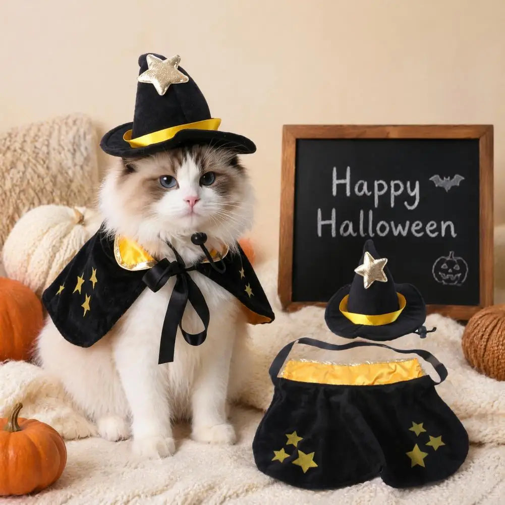 Halloween Pet Cat Witch Costume