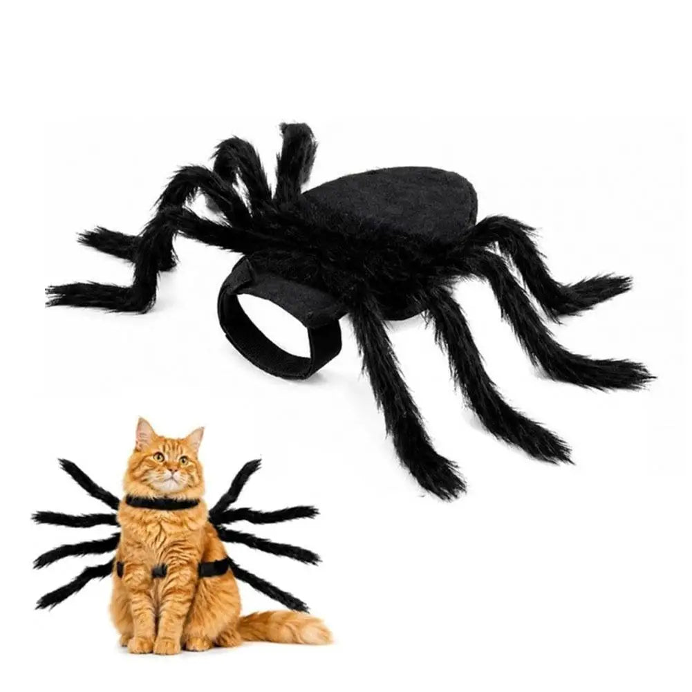 Halloween Pet Spider Costume