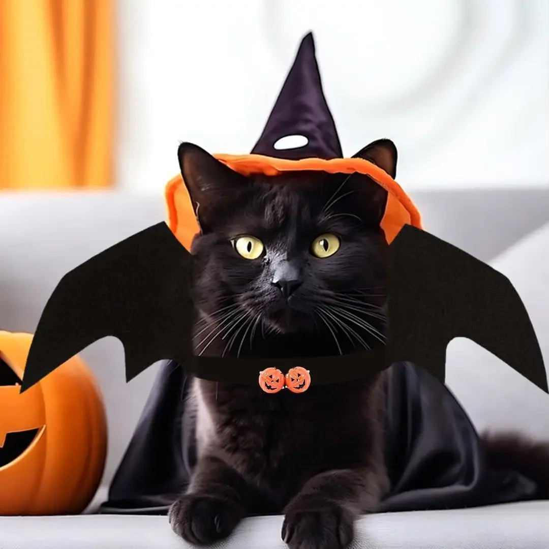 Halloween Pet Bat