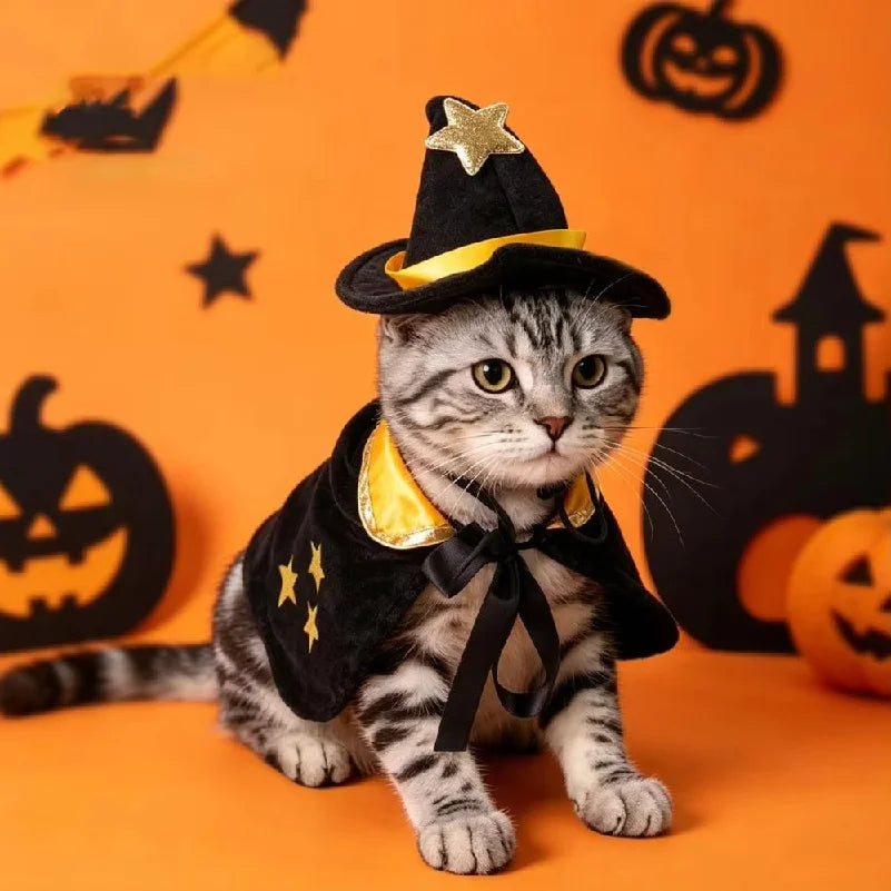 Halloween Pet Cat Witch Costume