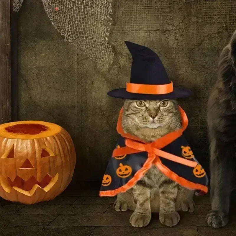 Halloween Pet Costume for Cats Breathable Cloak Shape Pumpkin Pattern Harness