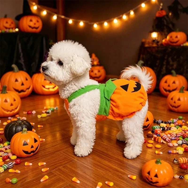 Halloween Pumpkin Pet Dress