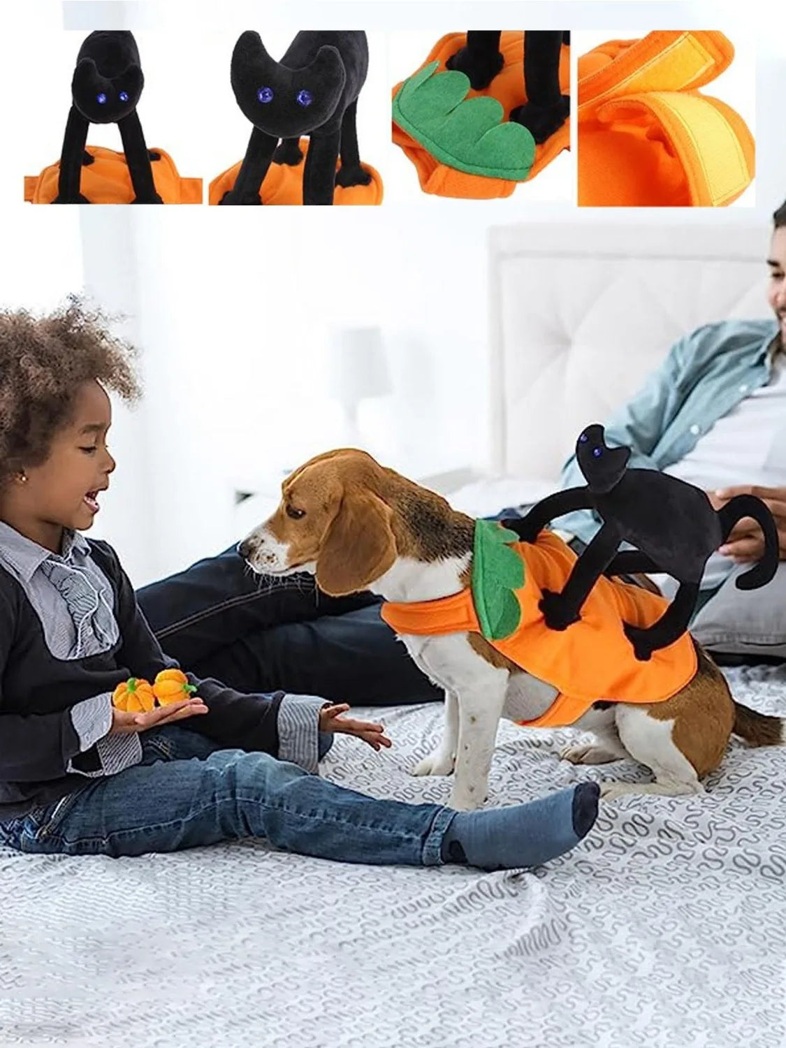 Halloween Pet Costume Pumpkin Black Cat