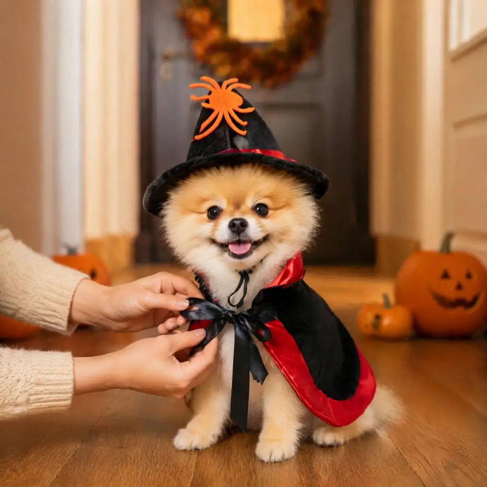 Halloween Pet Cat Witch Costume