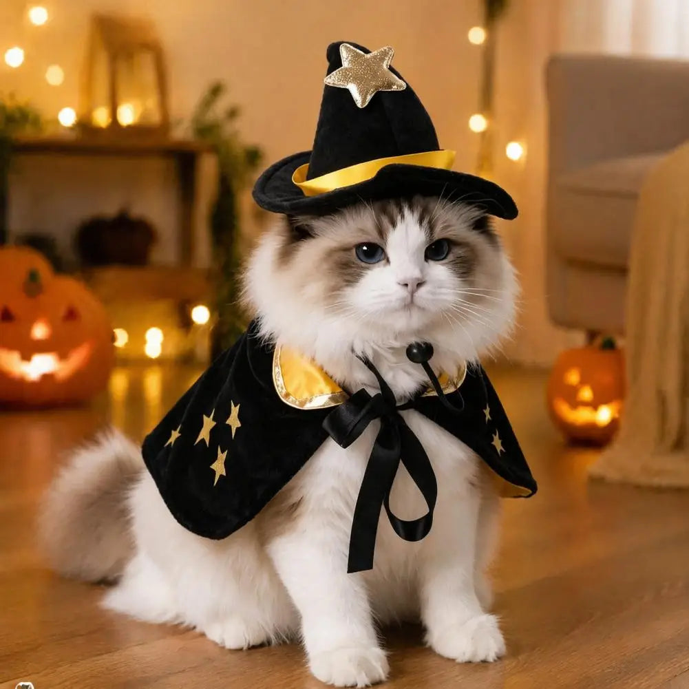 Halloween Pet Cat Witch Costume