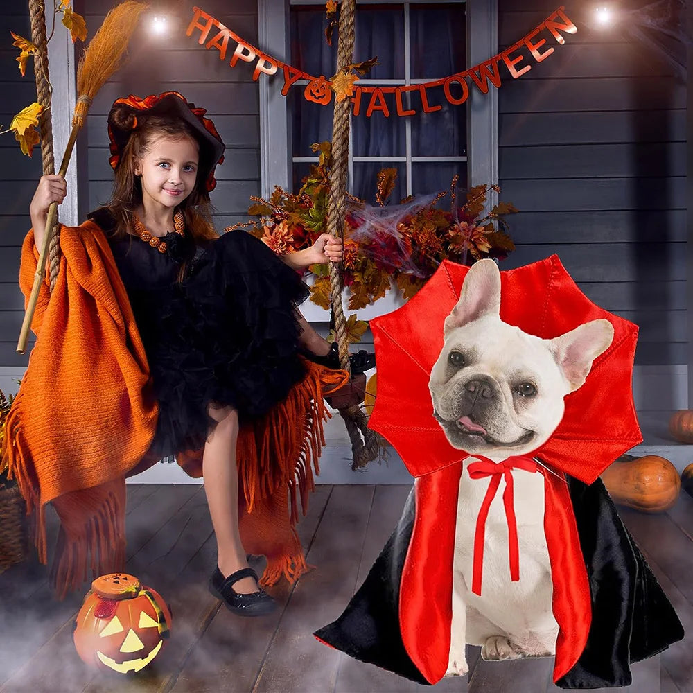 Halloween Pet Costumes Cute