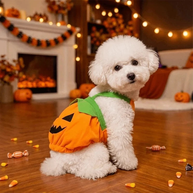 Halloween Pumpkin Pet Dress