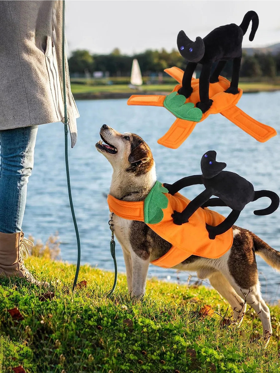 Halloween Pet Costume Pumpkin Black Cat