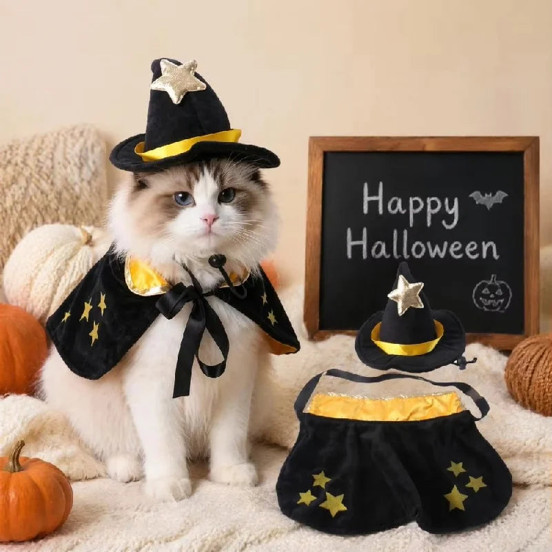 Halloween Pet Cat Witch Costume