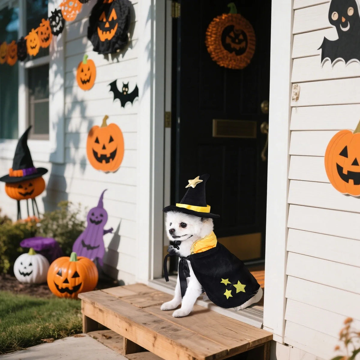 Halloween Dog  Costumes  Pet Clothes