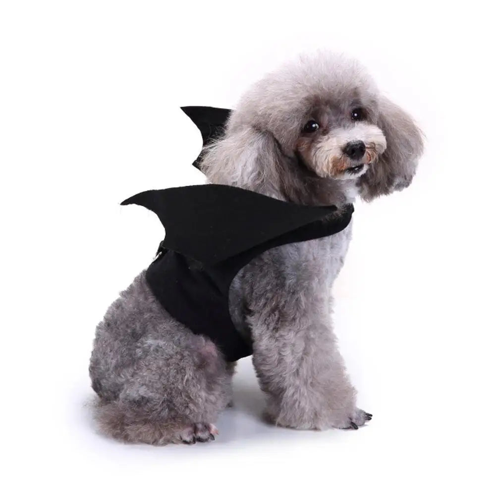 -Halloween Pet Costume - Cute Black Bat Wings Harness Costume For Cats And Dogs,