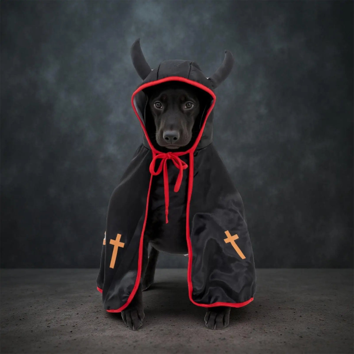 Halloween Cat Dog Costumes Funny Puppy Cloak