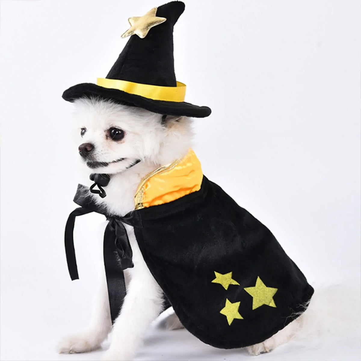 Halloween Dog  Costumes  Pet Clothes