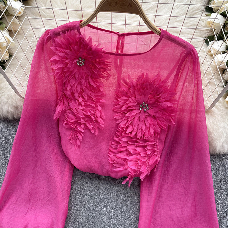 Women's Elegant Floral Applique Pullover Round Neck Long Sleeve Semi-Sheer Top Spring Summer Fashion Shirt